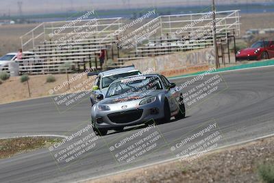 media/May-03-2025-Lucky Dog Racing (Sat) [[206de64b9d]]/Turn 4 B (1150am-130pm)/